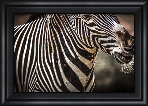 Framed Zebra Print