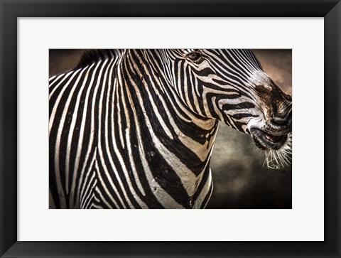 Framed Zebra Print