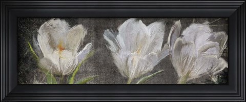 Framed Tulip Triolet Print