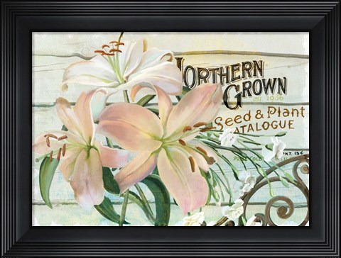 Framed Farm Seed Lilies Print