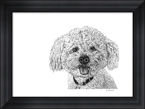 Framed Bichon Print
