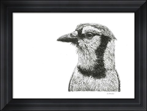 Framed Blue Jay Print
