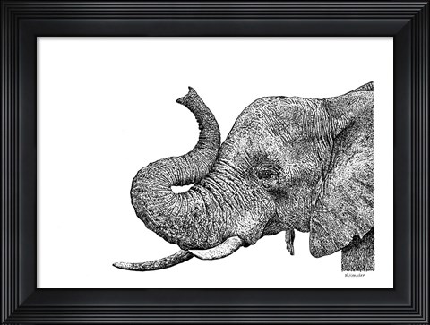 Framed Elephant Print