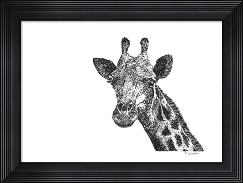 Framed Giraffe Print
