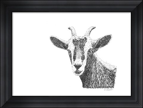 Framed Goat Print