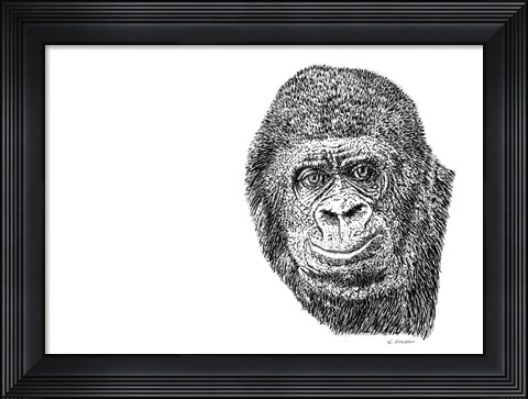Framed Gorilla Print