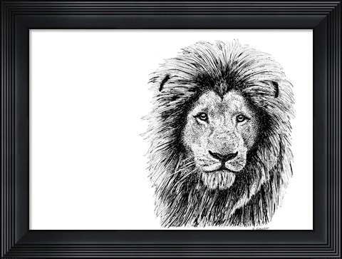 Framed Lion Print