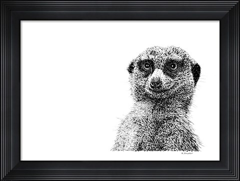 Framed Meerkat Print