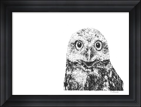 Framed Owl Print