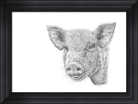 Framed Pig Print