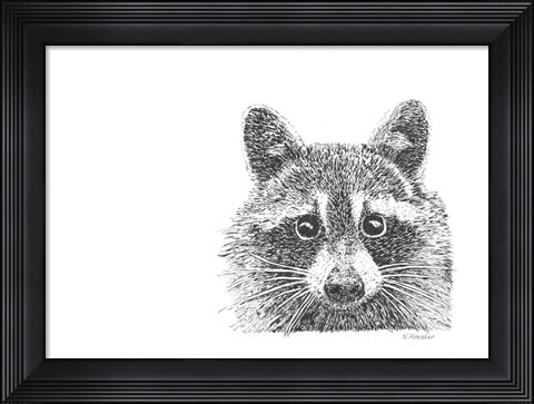 Framed Raccoon Print