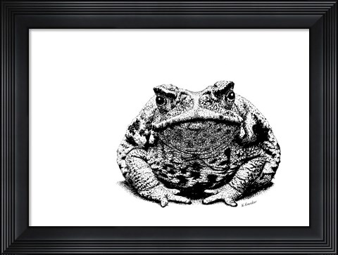 Framed Toad Print