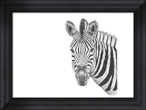 Framed Zebra Print