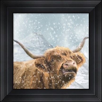 Framed Highland Cow 1 Print