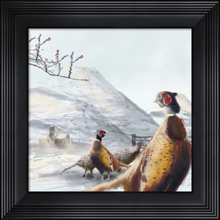 Framed Ring Necked Pheasant Print