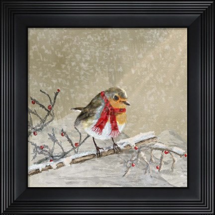 Framed Robin Print