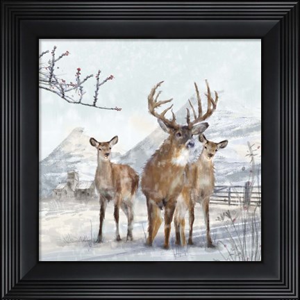 Framed Stag And Females Print