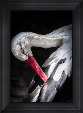 Framed Stork II Print