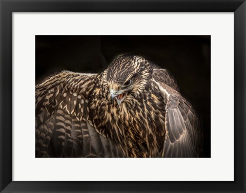 Framed Wings Print