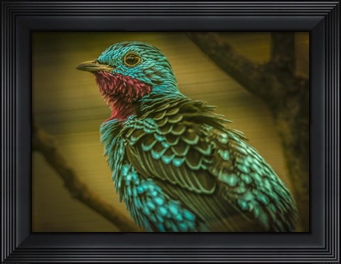 Framed Colorfull Bird V Print