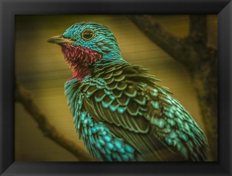 Framed Colorfull Bird V Print