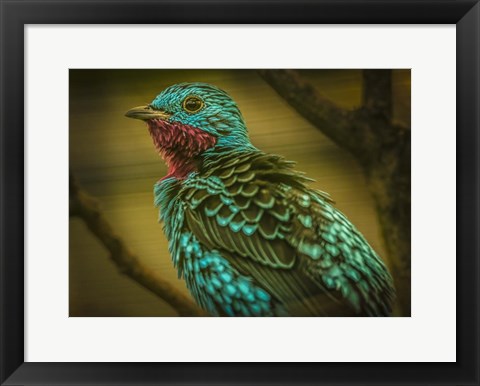 Framed Colorfull Bird V Print