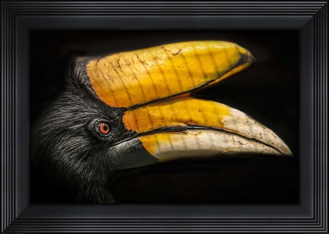 Framed Exotic Bord Print
