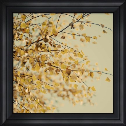 Framed Fall Leaves 10 Print