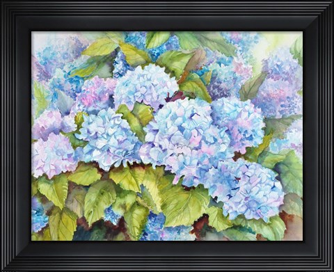 Framed Cluster of Hydrangeas Print