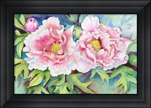 Framed Pair of Peonies Print