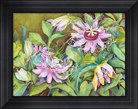 Framed Passion Flower Print