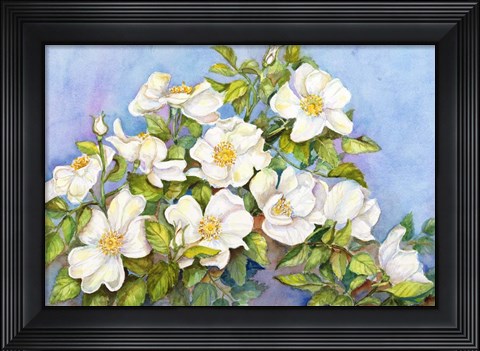 Framed White Roses Print