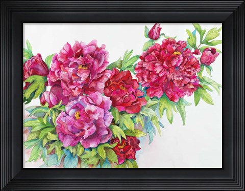 Framed Study of Red Peonies Print