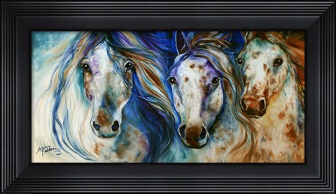 Framed 3 Wild Appaloosa Horses Print