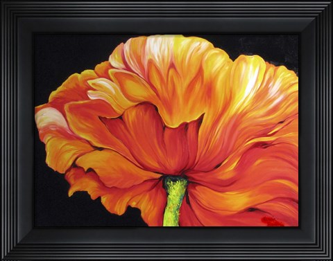 Framed Single Poppy Print