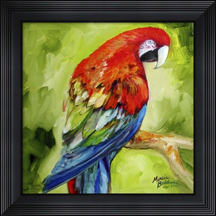Framed Macaw Tropical Print