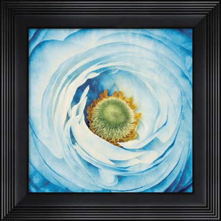 Framed White Peony with Blue Print