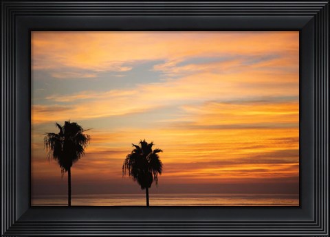 Framed Sunset Palms III Print
