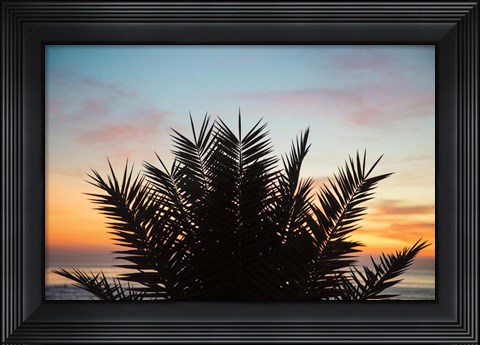 Framed Sunset Palms II Print