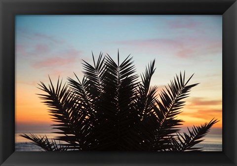 Framed Sunset Palms II Print