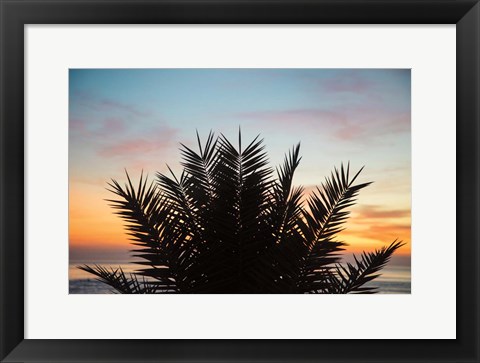 Framed Sunset Palms II Print