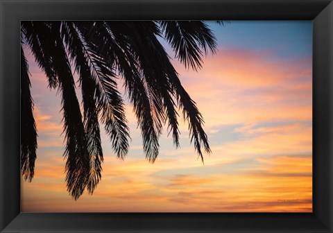 Framed Sunset Palms I Print