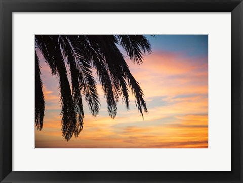 Framed Sunset Palms I Print