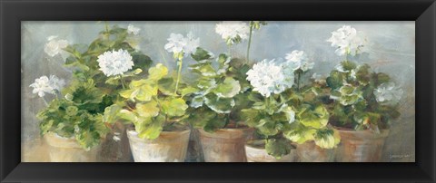 Framed White Geraniums v2 Print