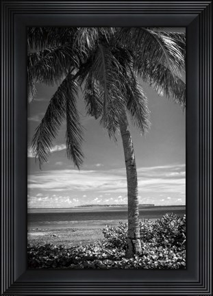 Framed Ocean View Print