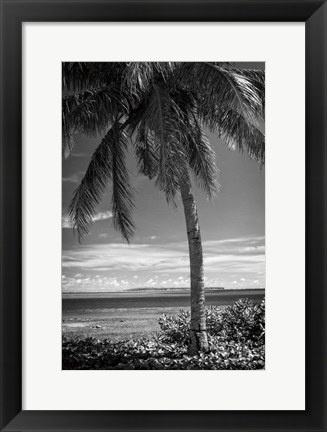 Framed Ocean View Print