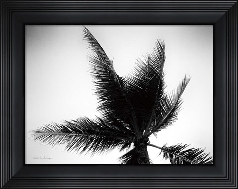 Framed Palm Tree Looking Up IV Print