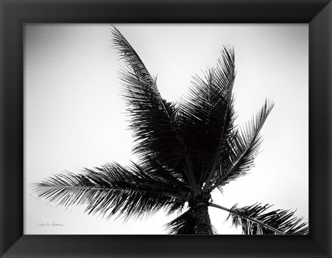 Framed Palm Tree Looking Up IV Print