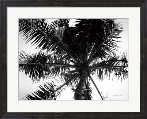 Framed Palm Tree Looking Up III Print