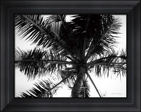 Framed Palm Tree Looking Up III Print